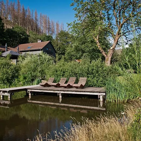Tiny House Nature 9 - Tiny Village Harz * Osterode am Harz