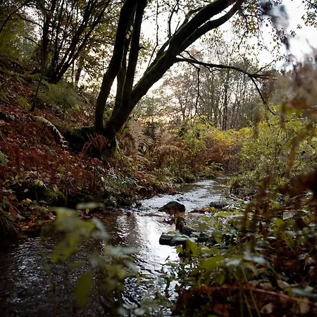 Tiny House Nature 9 - Tiny Village Harz Casa de Férias Osterode am Harz