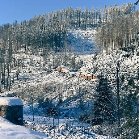 Casa de Férias Tiny House Nature 9 - Tiny Village Harz *