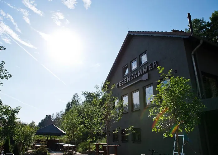 Vakantiehuis Tiny House Nature 9 - Tiny Village Harz *